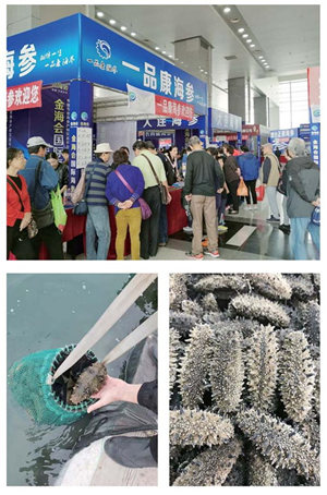 买海参　买好海参下周五去青岛国际会展中心