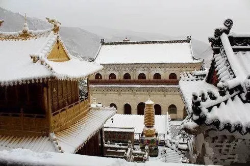 青岛今起狂降10还有雨雨雨捣乱祖国那么大五台山已下雪