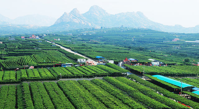 平度景点推荐,收藏好了您就来