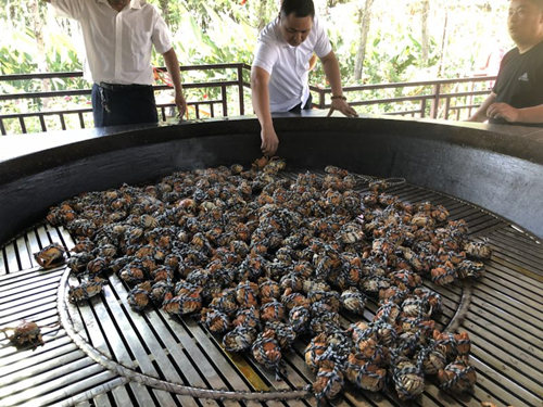 寻味泰州，品尝美食，游览胜景，这个国庆够味儿！