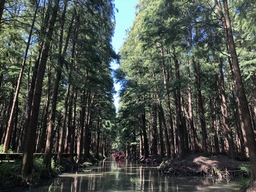 寻味泰州，品尝美食，游览胜景，这个国庆够味儿！