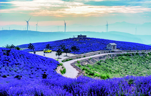 乡村振兴丨看革命老区的乡村振兴美画卷