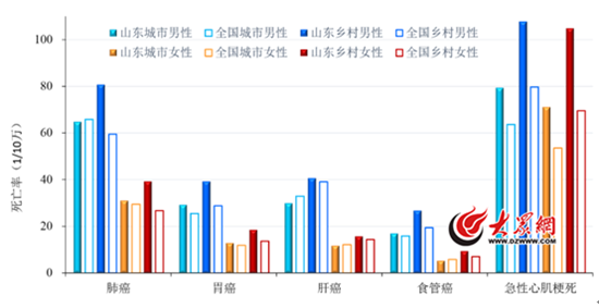 心脑血管疾病、恶性肿瘤成山东人头号“健康杀手”