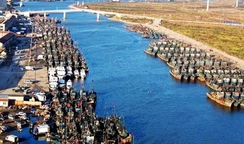 寿光羊口镇经济总量_寿光羊口镇图片