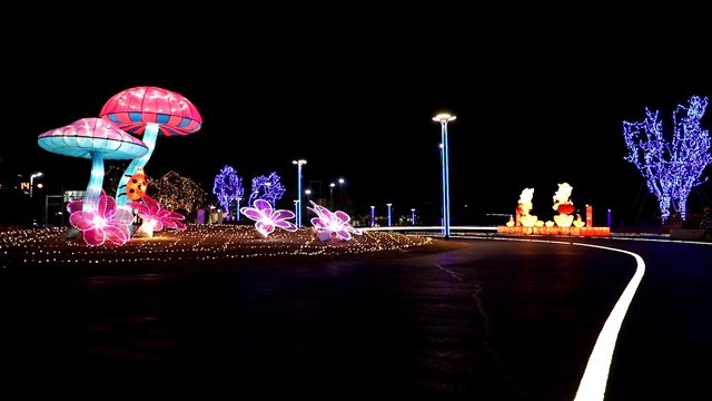 5c5199242748db0014a8d871.jpeg