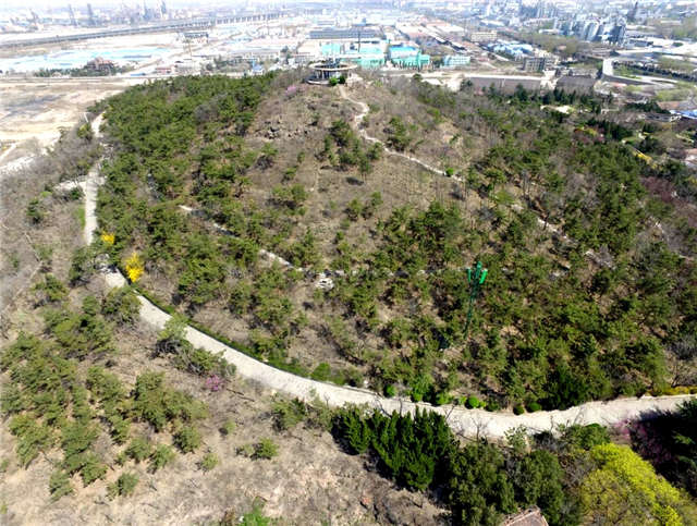 总投资1700万烟墩山公园启动升级改造