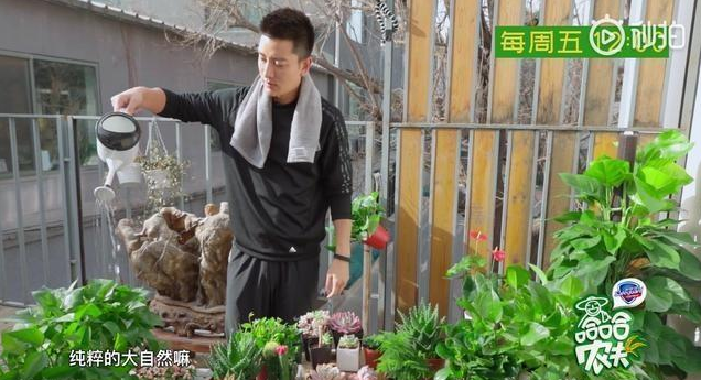 贾乃亮离婚后性格大变 自曝放慢节奏享受孤独惹人心疼