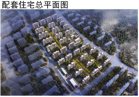 1682户!中国科学院大学(青岛)附属学校配套拘 项目规划公示
