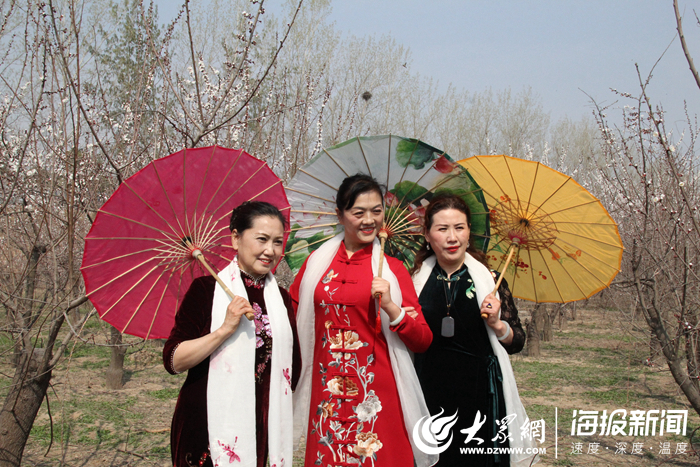 山东郓城李集人口_...李集乡高清卫星地图 李集乡2018年卫星地图 中国山东省菏(2)