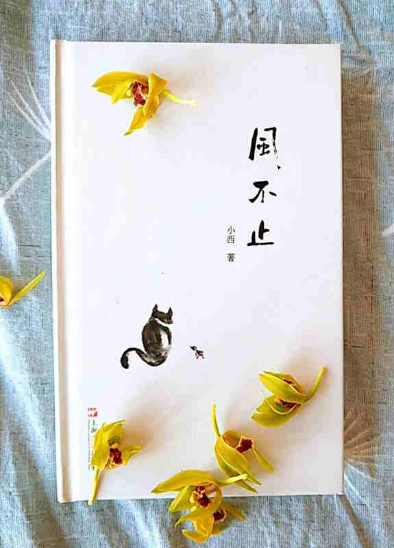 小西诗集《风不止》分享会在青岛西海岸城市传媒新华书店举行
