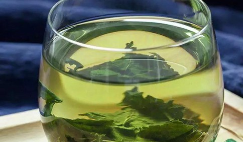 青岛森珍生态园: 桑叶茶