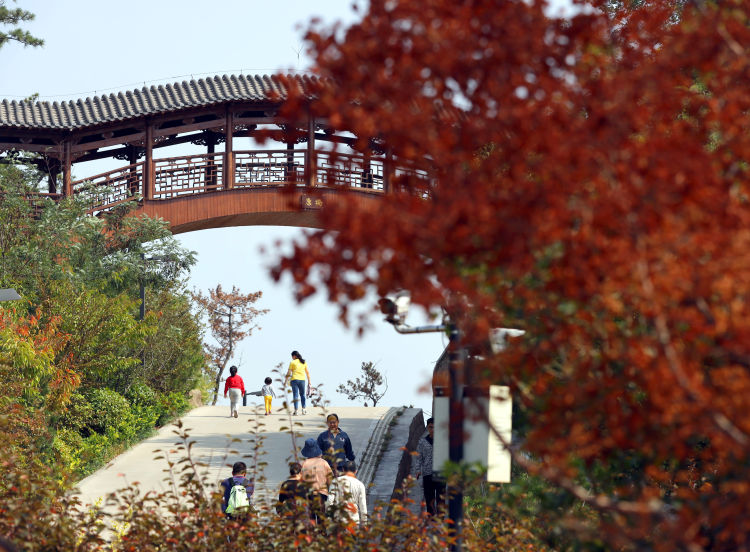 红黄绿紫青岛象耳山公园秋景宜人