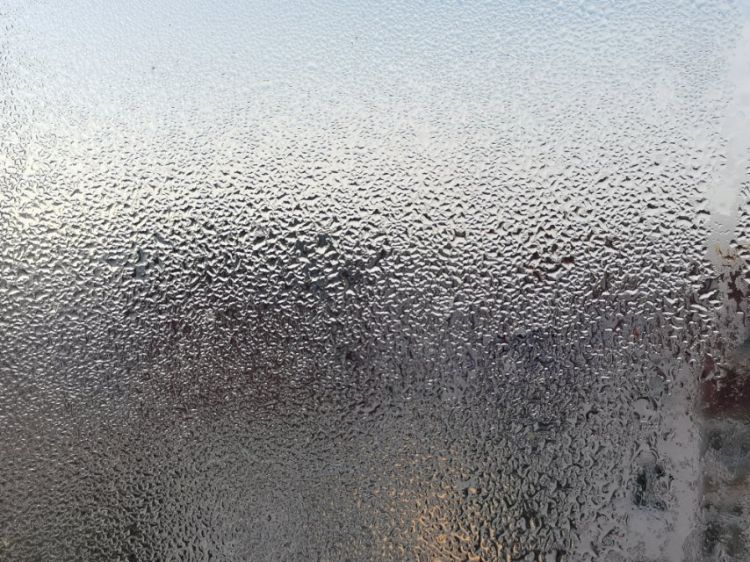 这天真冷了青岛市民家中窗户玻璃上出现哈气水珠