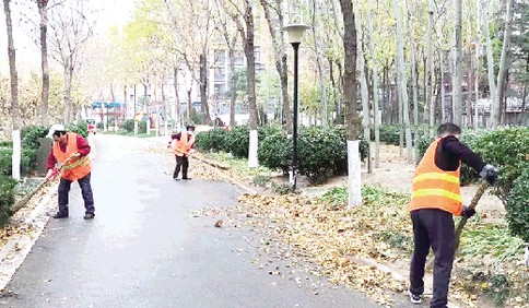 奎文環衛部門調整作業模式和時間 及時清理綠化帶里的落葉