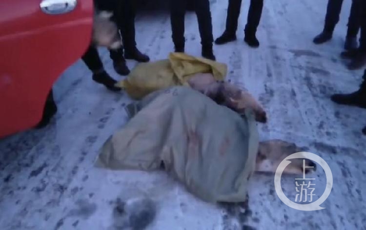 哈尔滨凤山镇政府食堂内藏熊掌，纪委介入并启动问责