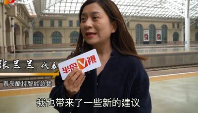 張?zhí)m蘭代表：保護(hù)知識(shí)產(chǎn)權(quán)，看齊國(guó)際水平