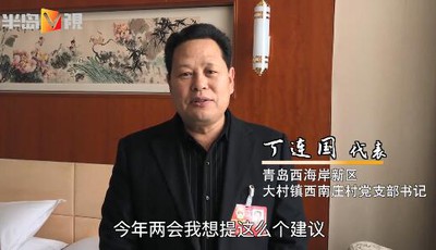 丁連國(guó)代表：在新農(nóng)村建設(shè)中，創(chuàng)自有品牌，關(guān)注農(nóng)民增收