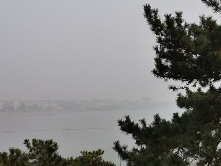 什么是生态环境空气新鲜 5e22c0672748db00b64099d7.jpeg