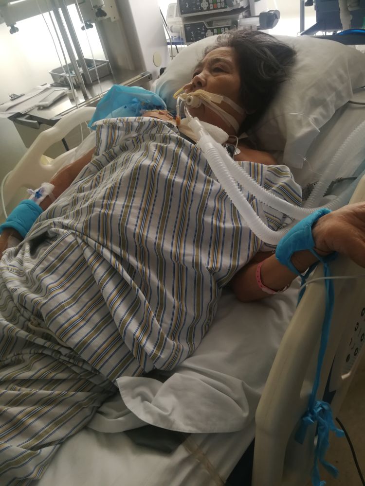 青医附院排名2020_投资13个亿的青医附院平度分院已经开工建设,将在20