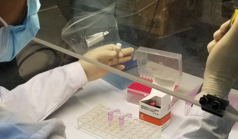 軍地共同研制的新型冠狀病毒檢測試劑盒獲批