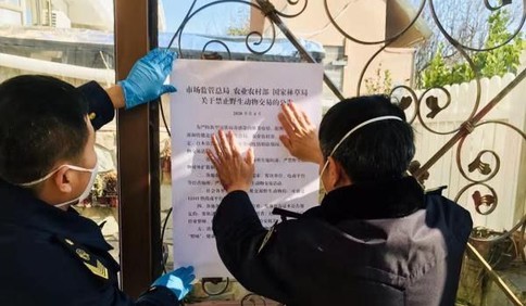 100%杜绝野生动物交易行为，崂山区这样做