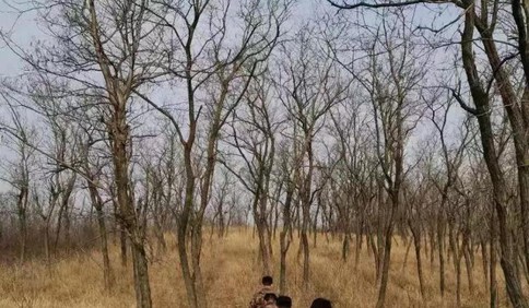 “護林員+防護員”！即墨1376名護林員防疫又防火