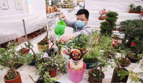 李村大集花市：商戶澆澆花喂喂魚，對商鋪進行基本維護