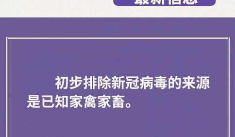 鸡鸭会传播病毒？疫苗研究得怎样？抗疫最新信息，你要知道