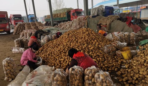 复工故事丨日交易量400吨供应“菜篮子”！一个蔬菜批发市场的“保供战”