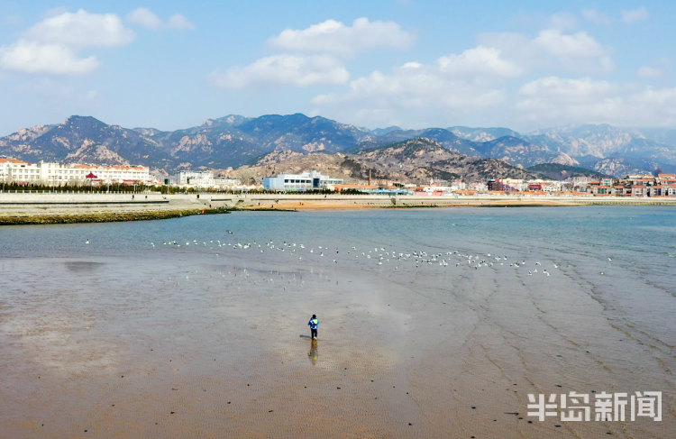 沙子口湾山海风光