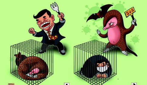 新冠肺炎疫情再次敲響警鐘 野味之痛期待立法祛除悲傷