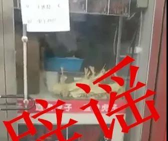 辟谣！网传辽宁路科技街一家炸串店出现老鼠？假的！