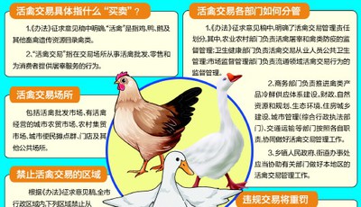 活禽交易青岛拟设禁区 鼓励实施活禽集中宰杀