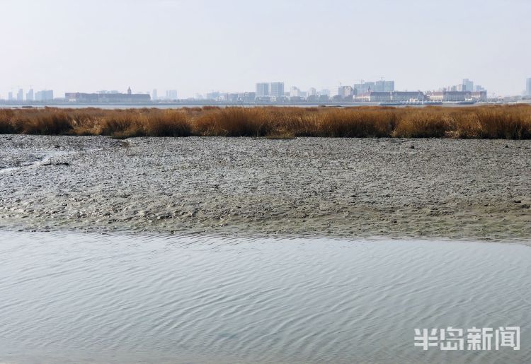 青岛城阳区白沙河风光秀丽周末不少居民在足球基地游玩