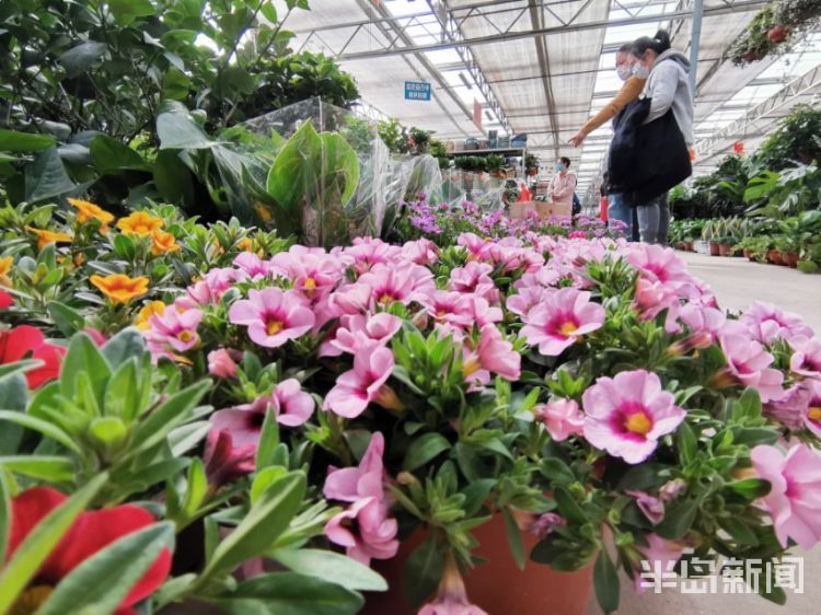 花卉批发市场在哪里找 5e6dd1f62748db00deeaf667.jpeg