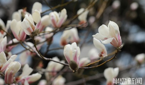 春分百花報信喚新時 還有這些習俗你知道嗎