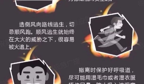 防火于未燃 森林防火“六個嚴禁”須時刻牢記