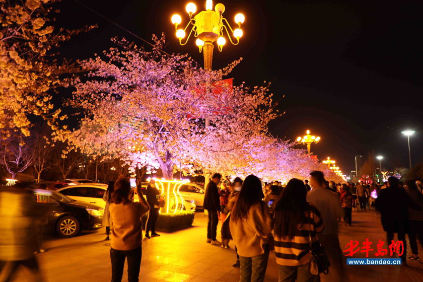 「人民广场」潍坊人民广场樱花盛开，市民戴口罩享春光