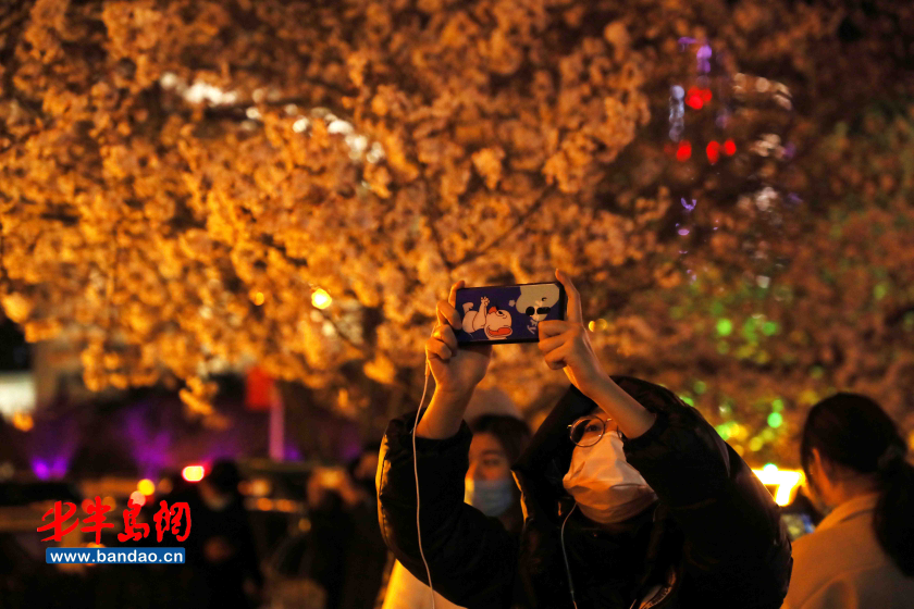 「人民广场」潍坊人民广场樱花盛开，市民戴口罩享春光