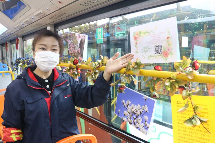 【公交线】青岛26路、228路公交线可“码”上赏花“云”端览春