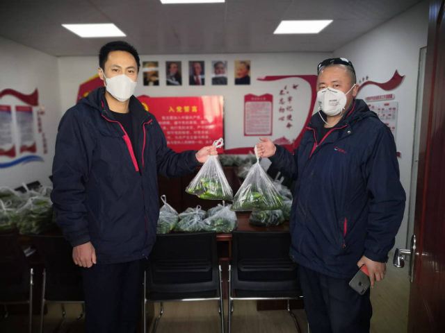 『爱心』即墨基地大棚黄瓜滞销 公交志愿者一天“团购”二百斤