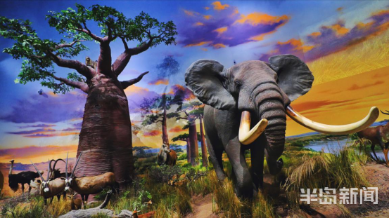 低至：青岛市北区奉上文旅大礼包 景区、酒店纷纷推出大优惠