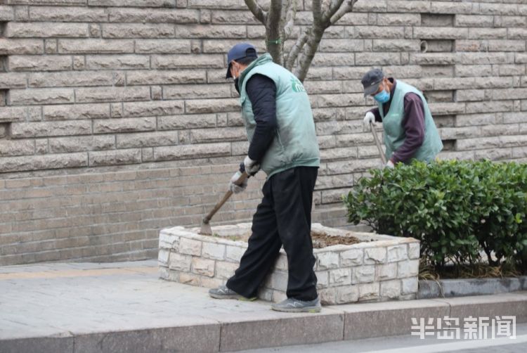 「复工」青岛市区不少建筑工地、道路施工及园林绿化现场施工人员复工忙