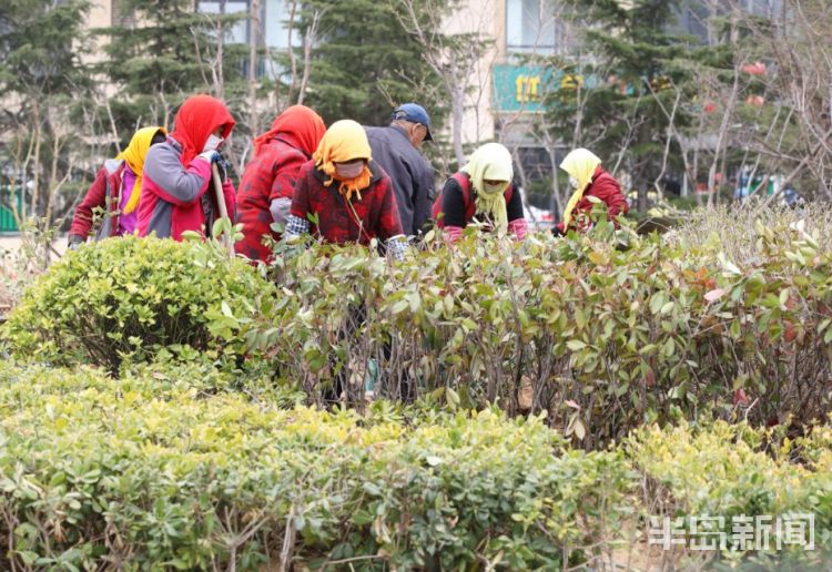 「复工」青岛市区不少建筑工地、道路施工及园林绿化现场施工人员复工忙