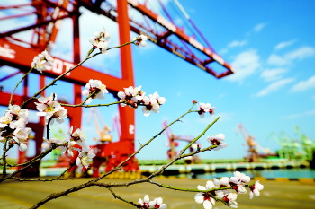 #勇立#树立绿色理念植入智慧基因 山东港口日照港勇立强港潮头