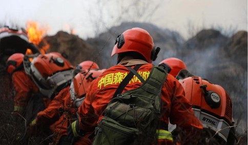 3月17日至24日全国共接报森林火灾56起 清明节临近要做好防灭火工作