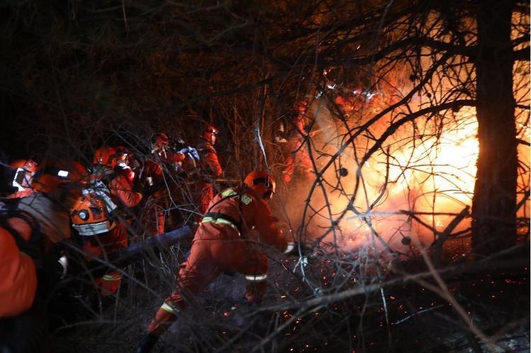 [17]3月17日至24日全国共接报森林火灾56起 清明节临近要做好防灭火工作