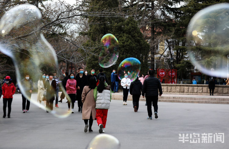 【满园春色】满园春色关不住 周末赏景正当时