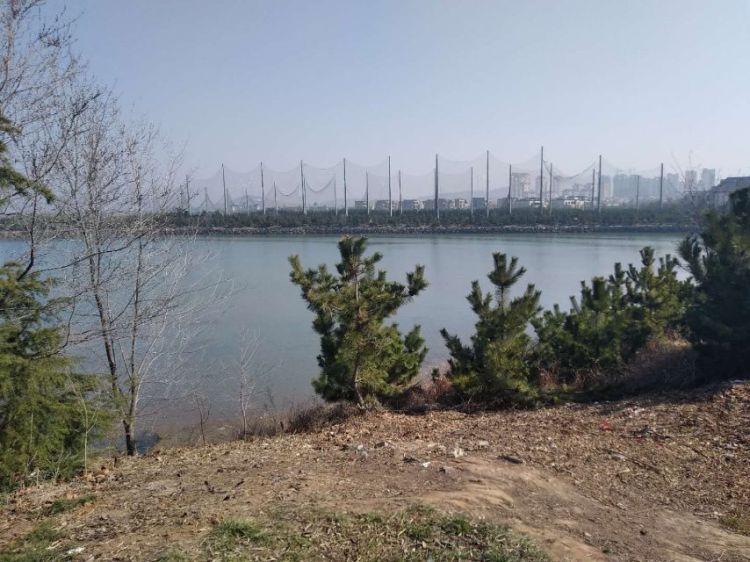 「倾倒垃圾」即墨一男子图方便将垃圾倾倒路边 执法人员：限期清理干净