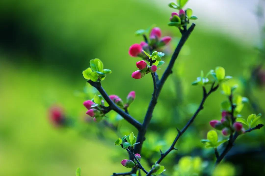 『金海岸』日照市金海岸小学举行“我有美景你有诗”活动